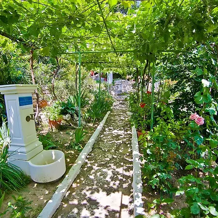 Vakantiehuis Sequoia