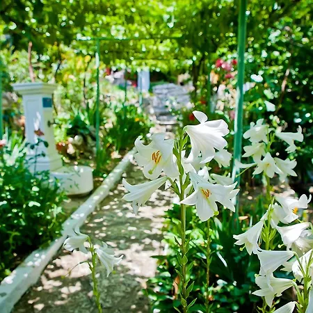 Sequoia Vakantiehuis Goudstrand