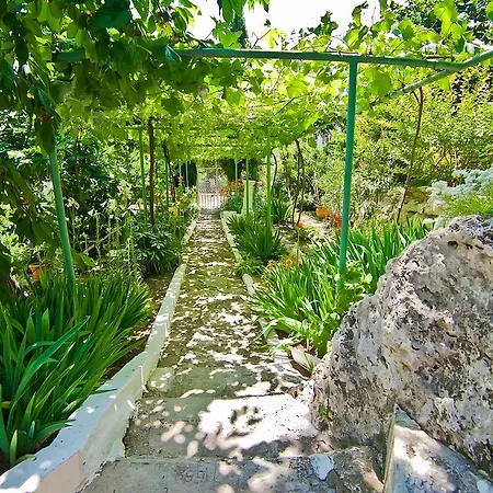 Sequoia * 골든샌드