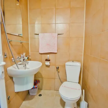 Sequoia * 골든샌드