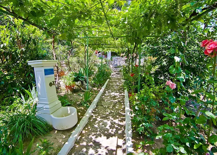 Dom wakacyjny Sequoia