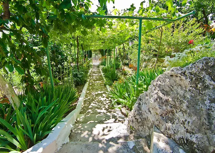 Sequoia * Złote Piaski