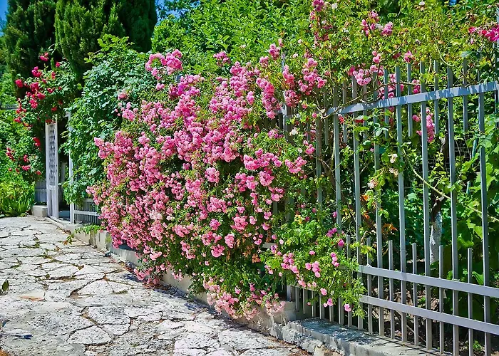 Sequoia * Złote Piaski